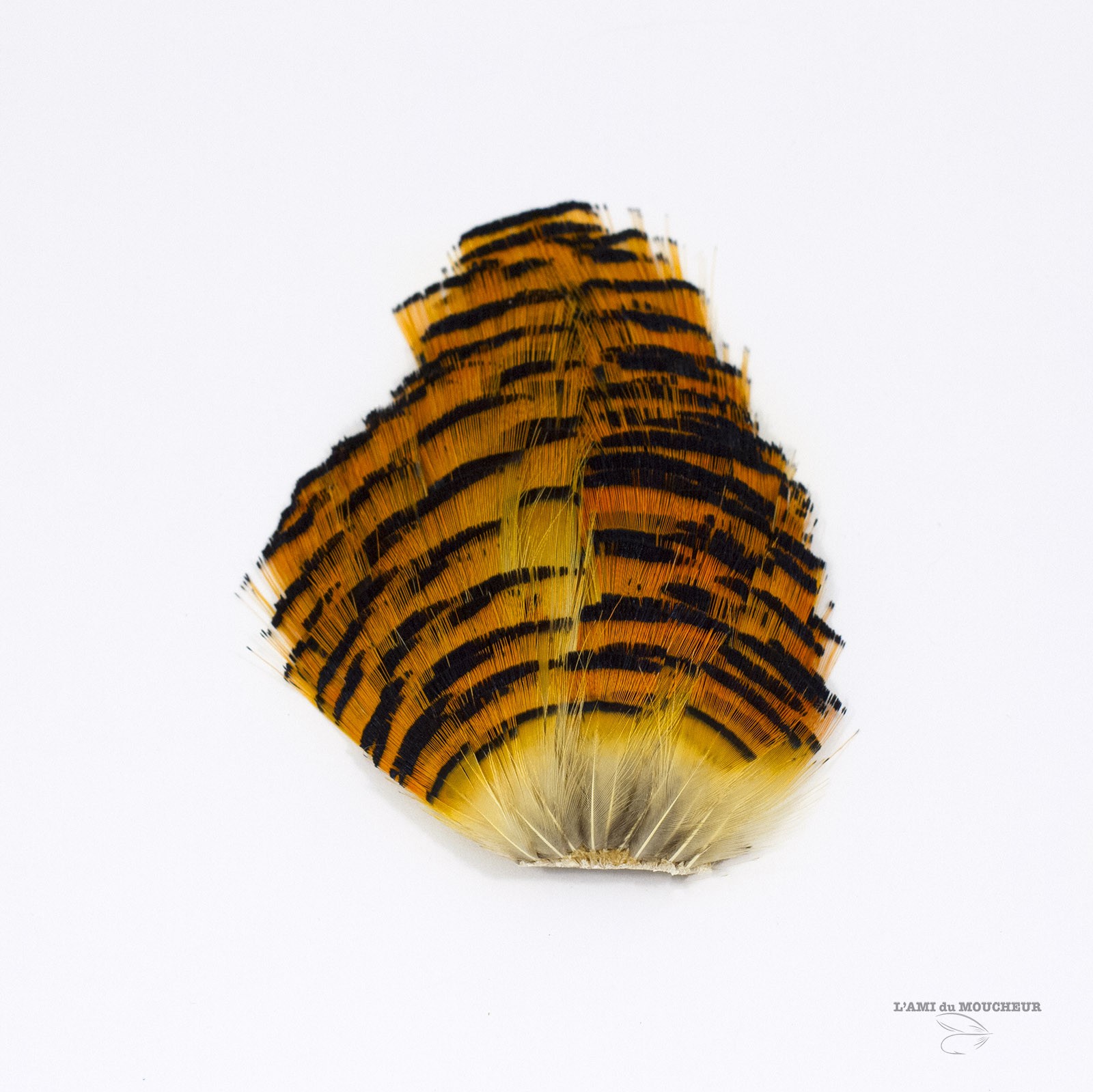 Golden Pheasant Veniard Tippet Feathers