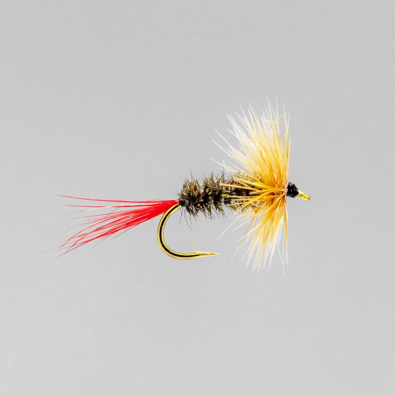 https://www.amimoucheur.com/6206-thickbox_default/neptune-trout-flies-dry-brown-hackle.jpg